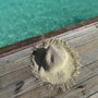 Плетена шапка Maldives Light